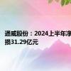 通威股份：2024上半年净利润亏损31.29亿元