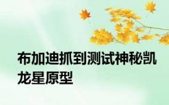 布加迪抓到测试神秘凯龙星原型