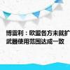 博雷利：欧盟各方未就扩大援乌武器使用范围达成一致