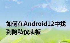 如何在Android12中找到隐私仪表板