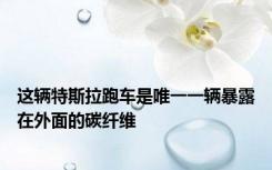 这辆特斯拉跑车是唯一一辆暴露在外面的碳纤维