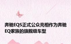 奔驰EQS正式公众亮相作为奔驰EQ家族的旗舰级车型