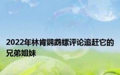 2022年林肯鹦鹉螺评论追赶它的兄弟姐妹