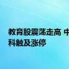 教育股震荡走高 中国高科触及涨停