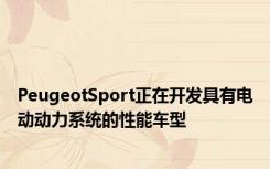 PeugeotSport正在开发具有电动动力系统的性能车型