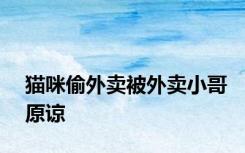 猫咪偷外卖被外卖小哥原谅