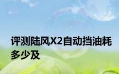 评测陆风X2自动挡油耗多少及