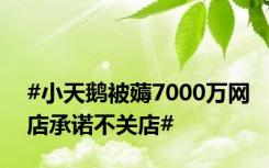 #小天鹅被薅7000万网店承诺不关店#