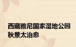 西藏雅尼国家湿地公园秋景太治愈