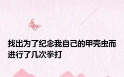 找出为了纪念我自己的甲壳虫而进行了几次拳打