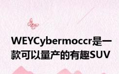 WEYCybermoccr是一款可以量产的有趣SUV