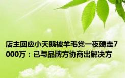 店主回应小天鹅被羊毛党一夜薅走7000万：已与品牌方协商出解决方