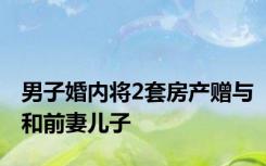 男子婚内将2套房产赠与和前妻儿子