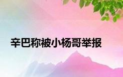 辛巴称被小杨哥举报