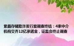 紫晶存储欺诈发行案调查终结：4家中介机构交齐12亿承诺金，证监会终止调查