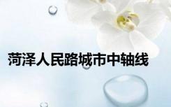 菏泽人民路城市中轴线