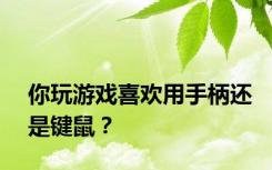 你玩游戏喜欢用手柄还是键鼠？
