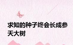 求知的种子终会长成参天大树