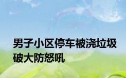 男子小区停车被浇垃圾破大防怒吼