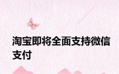 淘宝即将全面支持微信支付