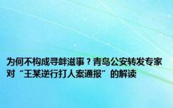 为何不构成寻衅滋事？青岛公安转发专家对“王某逆行打人案通报”的解读