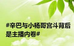 #辛巴与小杨哥宫斗背后是主播内卷#
