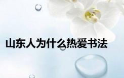 山东人为什么热爱书法