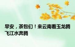 早安，茶包们！来云南看玉龙腾飞江水奔腾