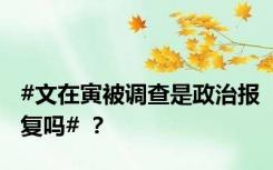 #文在寅被调查是政治报复吗# ？