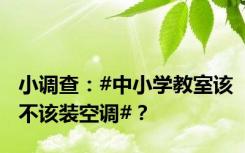 小调查：#中小学教室该不该装空调#？