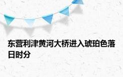 东营利津黄河大桥进入琥珀色落日时分