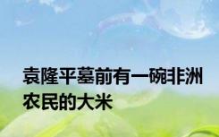 袁隆平墓前有一碗非洲农民的大米