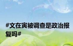 #文在寅被调查是政治报复吗#
