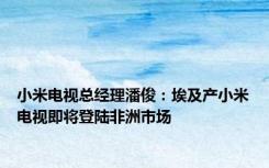 小米电视总经理潘俊：埃及产小米电视即将登陆非洲市场