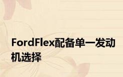 FordFlex配备单一发动机选择