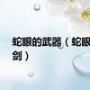蛇眼的武器（蛇眼极光剑）