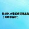 陈慧琳28张洞房照摆出各种撩人（陈慧琳洞房）