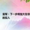 雷军：下一步将加大在非洲大陆的投入