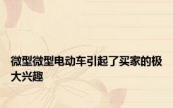 微型微型电动车引起了买家的极大兴趣