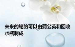 未来的轮胎可以由蒲公英和回收水瓶制成