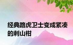 经典路虎卫士变成紧凑的刺山柑