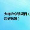 大梅沙必玩项目（大梅沙好玩吗）