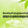 BentleyFlyingSpurHybrid使用秸秆生物燃料穿越冰岛