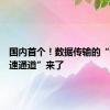 国内首个！数据传输的“专用高速通道”来了