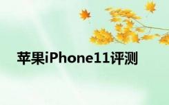 苹果iPhone11评测
