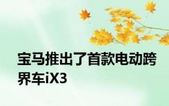 宝马推出了首款电动跨界车iX3