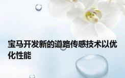 宝马开发新的道路传感技术以优化性能