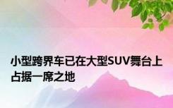 小型跨界车已在大型SUV舞台上占据一席之地