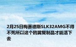 2月25日梅赛德斯SLK32AMG不得不死所以这个鸥翼复制品才能活下去