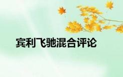 宾利飞驰混合评论